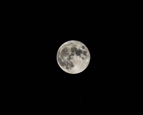 (使)豐滿, 月光, 月圓 的 免費圖庫相片