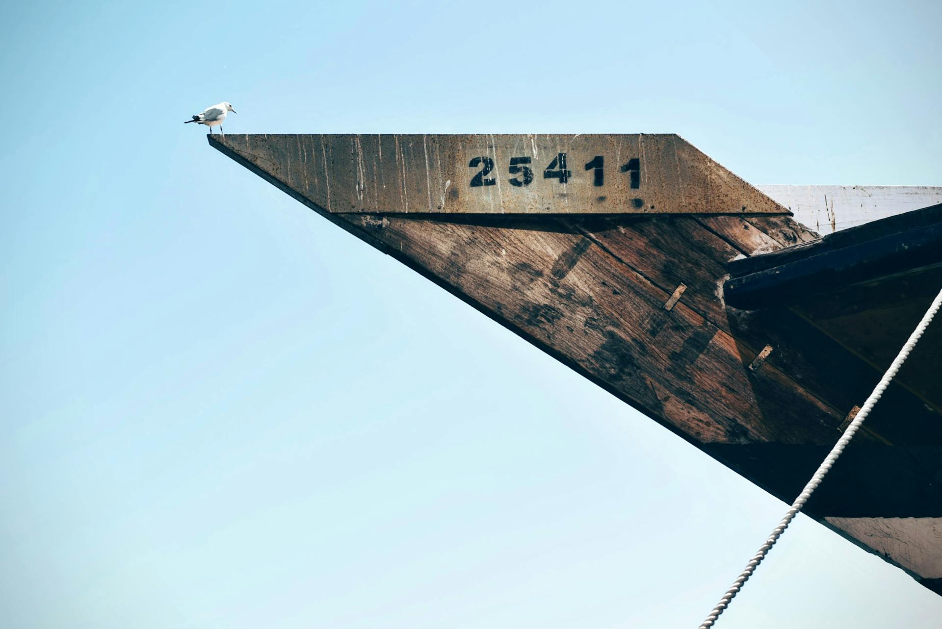 A seagull perched on a docked ship's bow with the number 25411 under a clear sky.