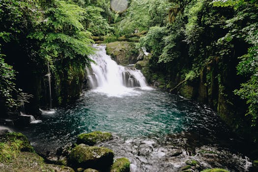 宁静的瀑布被充满活力的绿色雨林环绕，非常适合自然爱好者