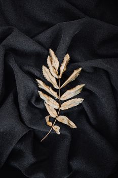 干蕨类植物的叶子优雅地置于有纹理的黑色织物上，形成鲜明的对比