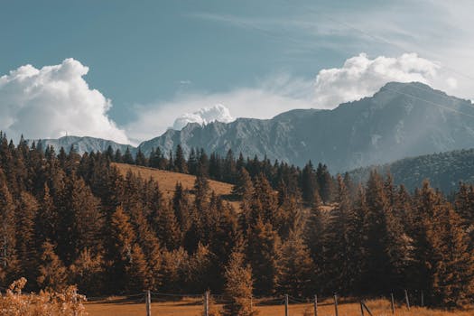 Breathtaking view of Carpathian mountains and lush forest in Predeal, Romania.