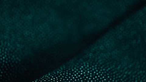 Detailed close-up of dark green fabric with a soft, textured pattern.
