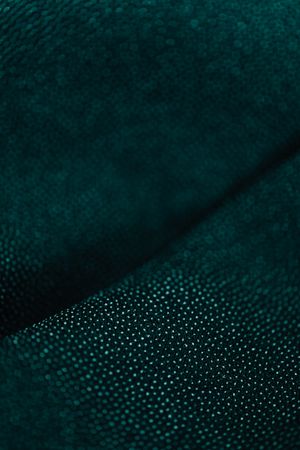 Green abstract texture by Kaboompics on Pexels