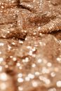 Shining Brown Sequence Fabric