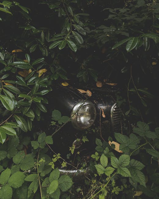 Apa Itu Termux? Menguak Potensi Tersembunyi Android Apa Itu Termux? Menguak Potensi Tersembunyi Android