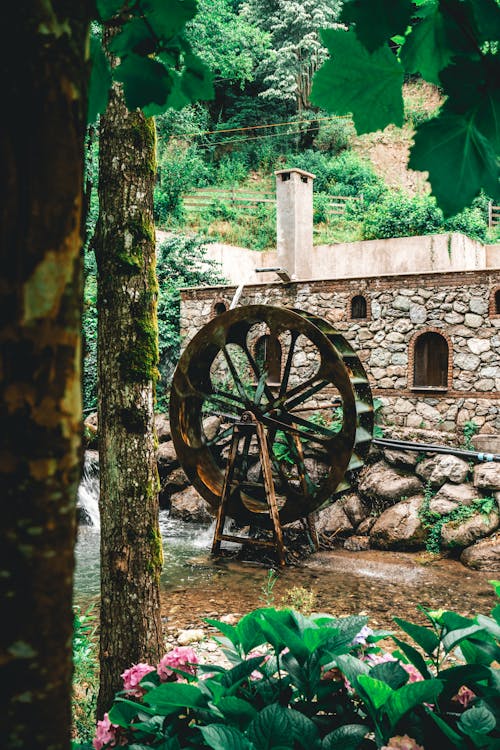 Aged watermill with bridge in woods