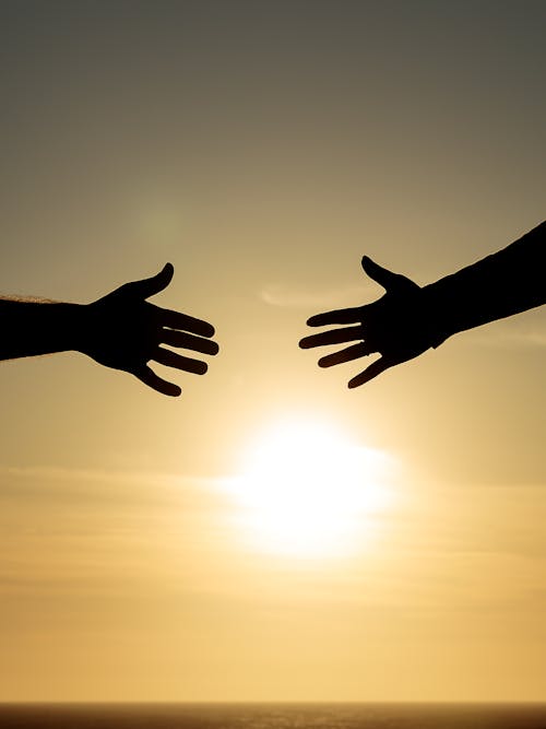 Free Photo of Hands against a Sunny Sky  Stock Photo