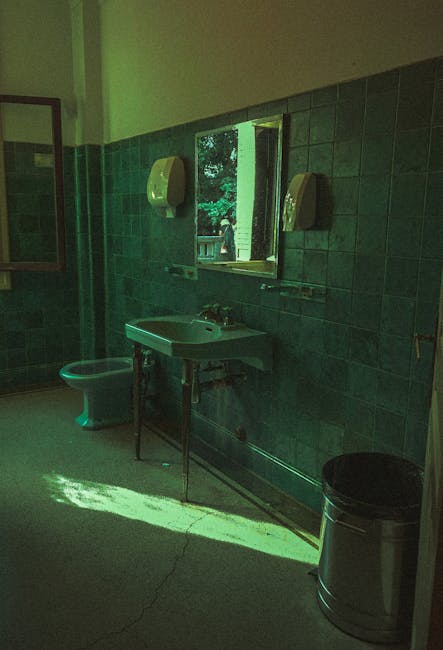 can you use a toilet plunger on a sink 2