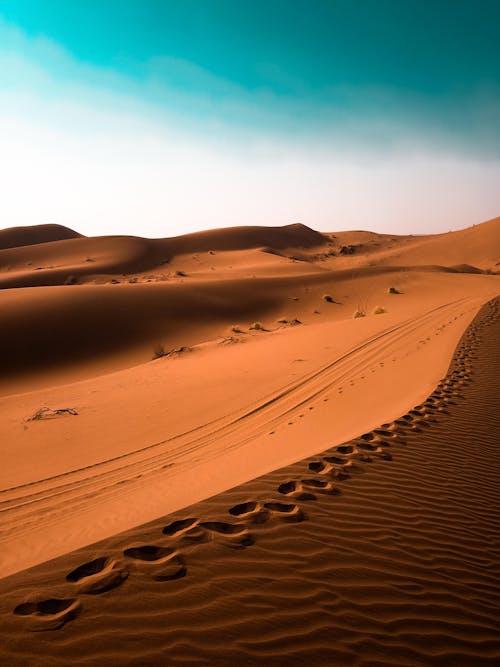 Бесплатное стоковое фото с вертикальный выстрел, дюны, засушливый