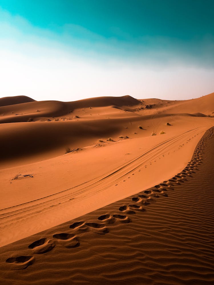 Footsteps On A Desert