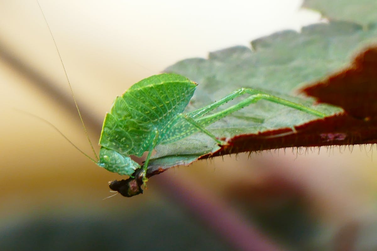 Stack of popular novels with a smartphone on top showing a social media app