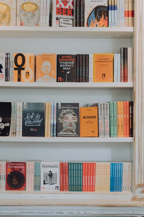 Free A vibrant collection of books displayed on a decorative white bookshelf. Stock Photo