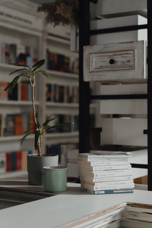 Stack of Books Placed near a Decorative Plant