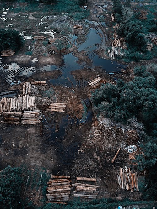 Drone view of piles of cut tree logs placed on dirty wet terrain near green forest in daytime