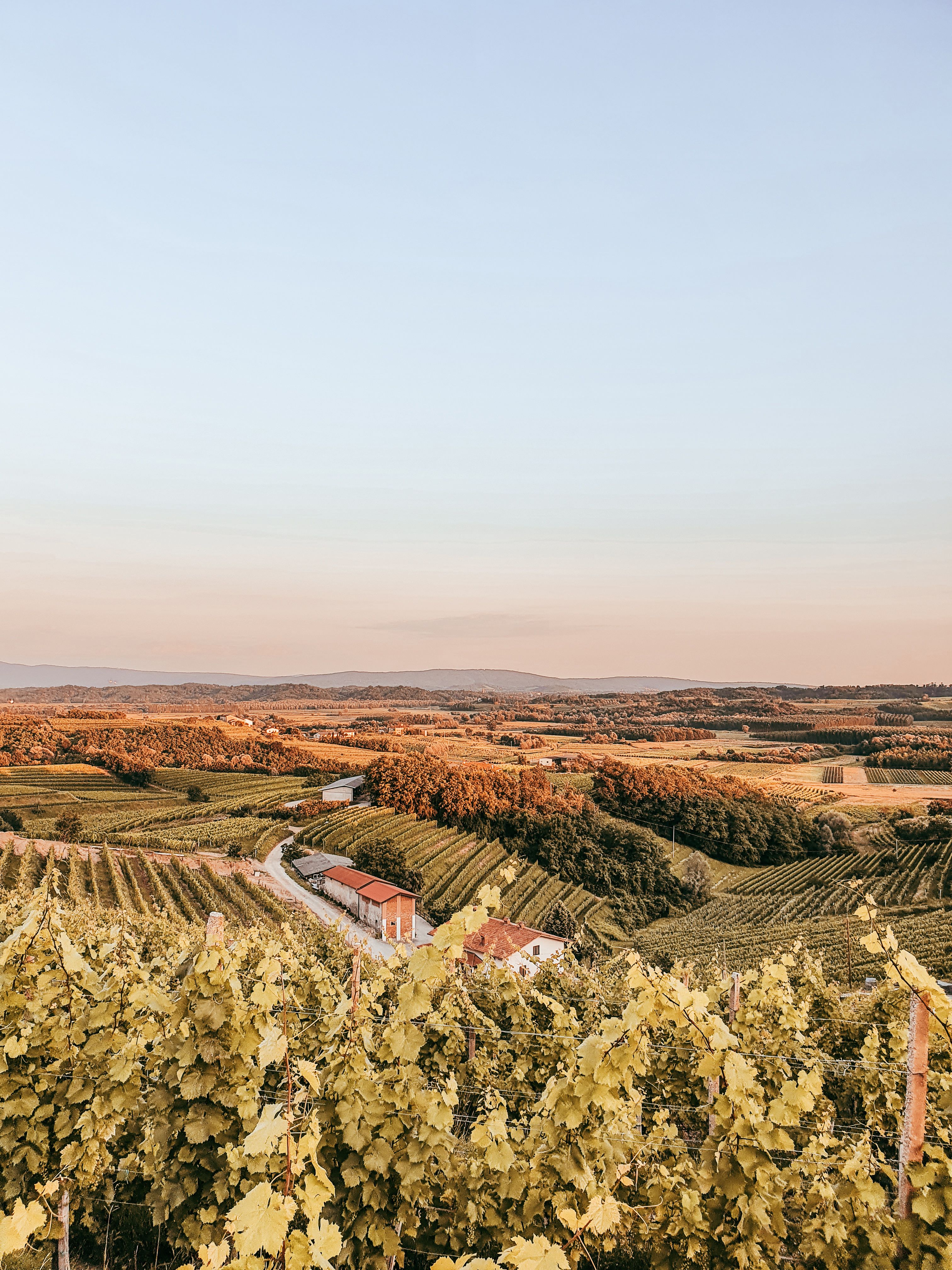 Dormir au pied des vignes du Pic Saint-Loup : 5 gîtes de charme pour randonner, déguster et regarder les étoiles - illustration