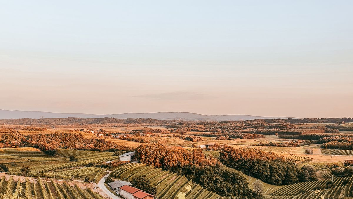 Dormir au pied des vignes du Pic Saint-Loup : 5 gîtes de charme pour randonner, déguster et regarder les étoiles - illustration