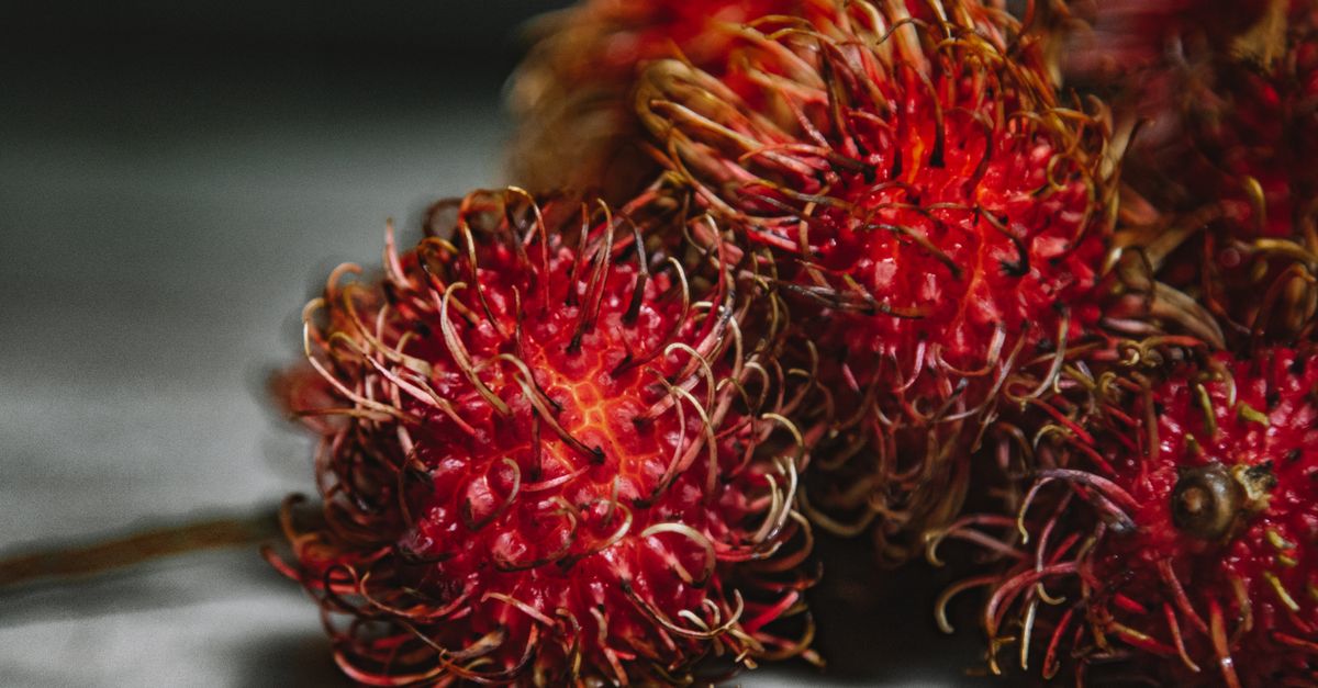 Teh Rambutan Close-up Photo of Rambutan Fruit · Free Stock Photo