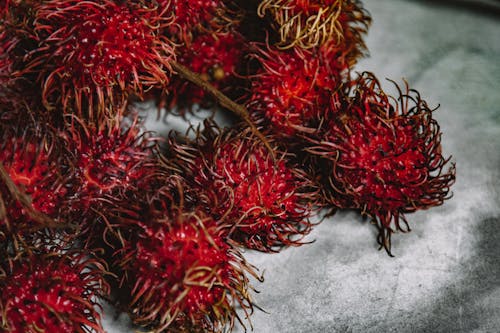 Foto profissional grátis de agradável, alimento, delicioso