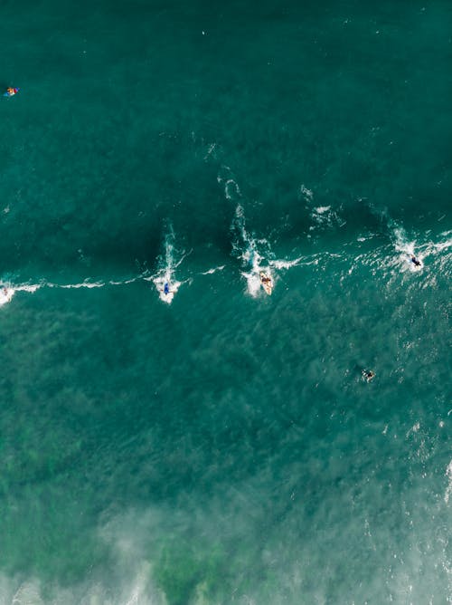 Aerial Photography of People Surfing on Sea