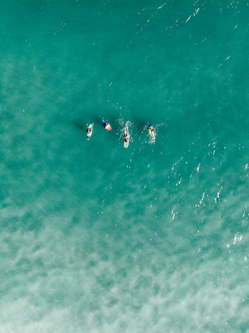 People Swimming in the Sea