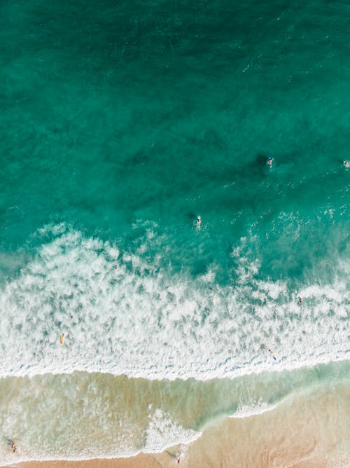 Free Δωρεάν στοκ φωτογραφιών με αεροπλάνα, ακτή του ωκεανού, γνέφω Stock Photo