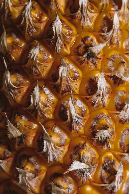 Fotobanka s bezplatnými fotkami na tému ananás, extrémny detail, ovocie z trópov