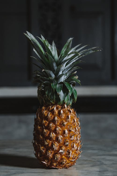 Kostnadsfria Kostnadsfri bild av ananas, löv, närbild Stock foto