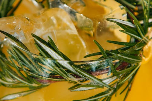 Extreme Close-up of Fruit Juice with Rosemary 