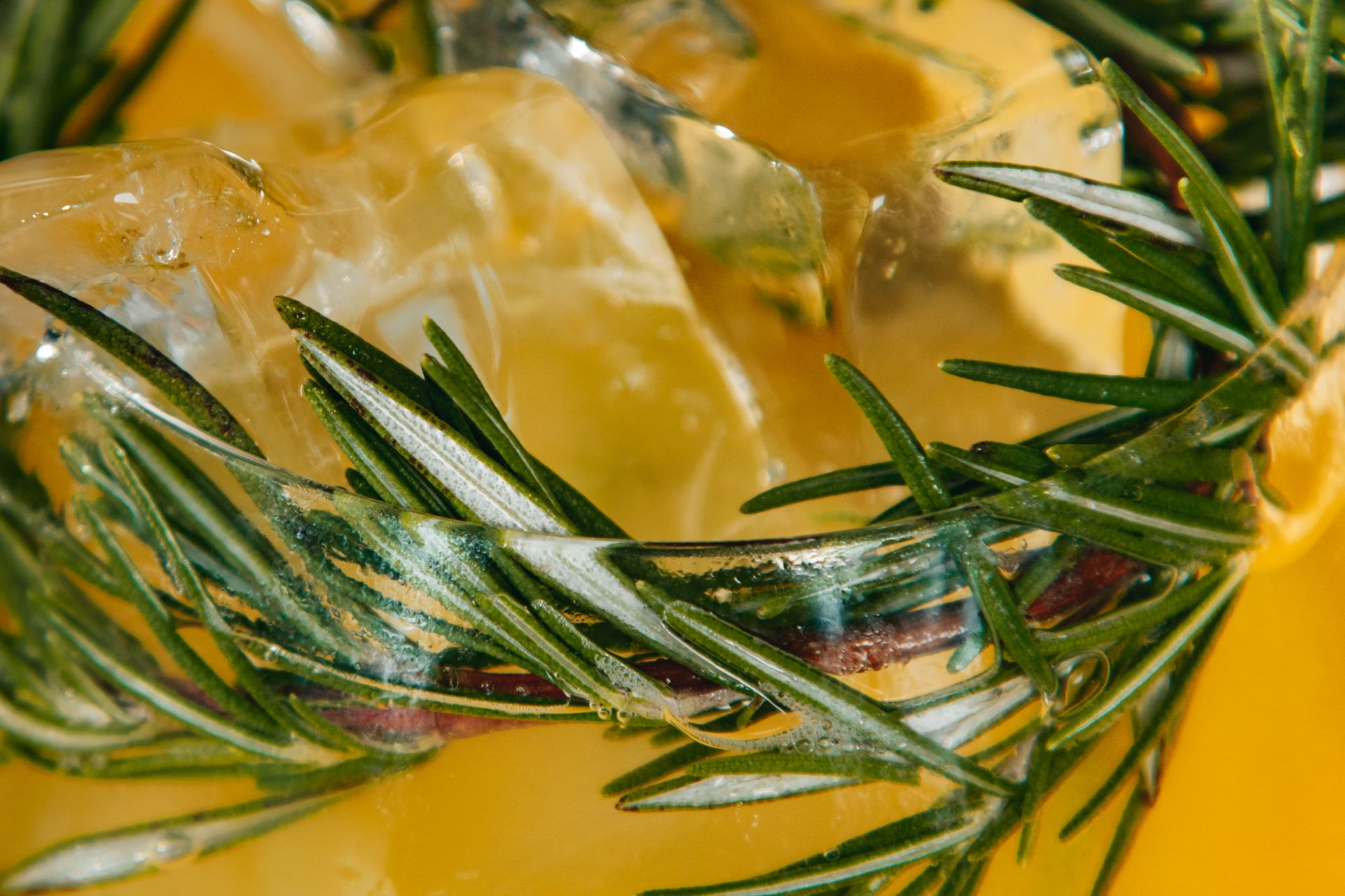 Extreme Close-up of Fruit Juice with Rosemary