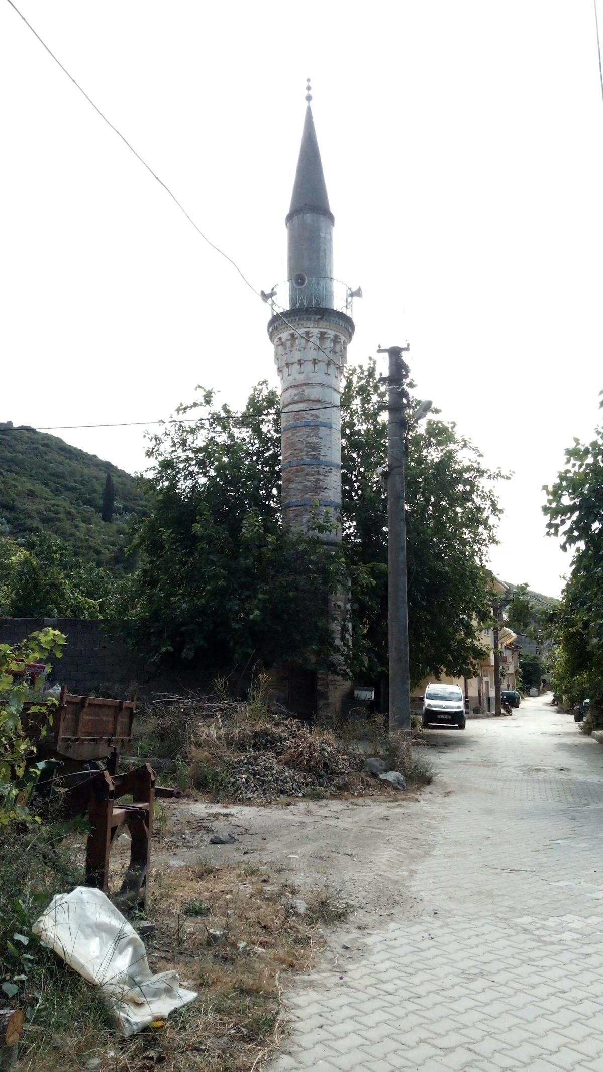 Hands chopping fresh vegetables on a cutting board for a healthy meal