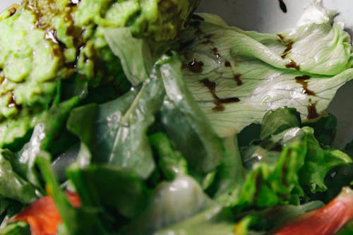 Free Green Vegetable Salad Stock Photo
