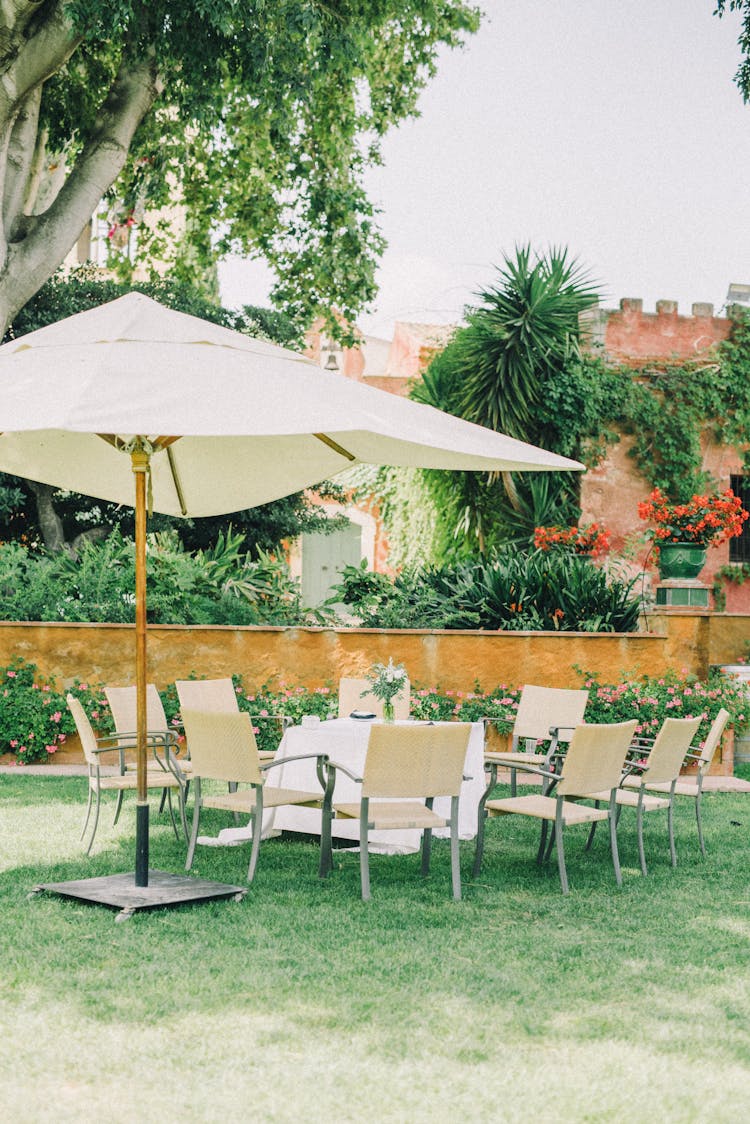 Patio Umbrella On Green Grass Lawn