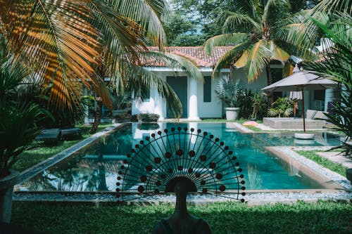 Outdoor Swimming Pool in Tropical Garden