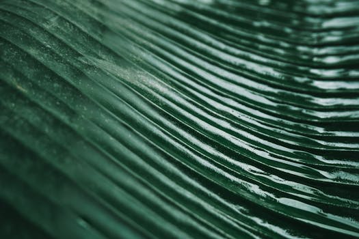 An extreme close-up of a textured green leaf displaying natural patterns and details.