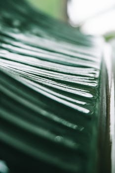 Intricate details of a green leaf showcasing natural patterns and textures.