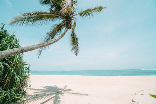 Free Scenic View of Tropical Beach  Stock Photo