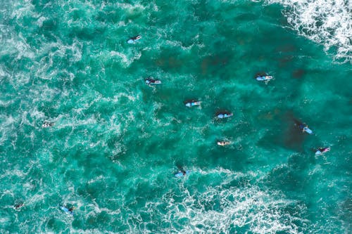 Aerial Footage of Surfers on the Ocean