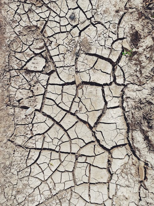 Základová fotografie zdarma na téma mletý, pohled shora, povrch