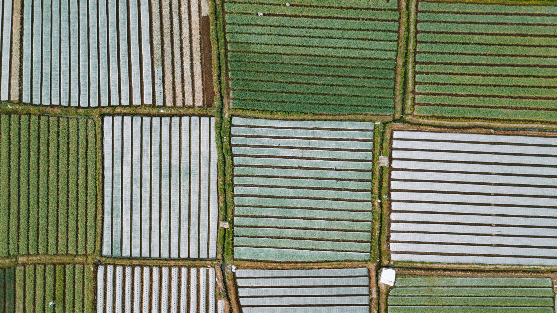 Aerial shot of expansive agricultural fields with striped patterns. Ideal for agriculture and rural themes.