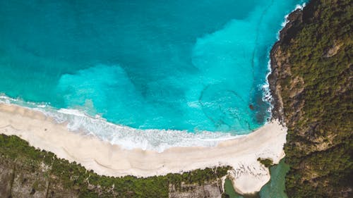 Immagine gratuita di acqua turchese, alberi, bagnasciuga