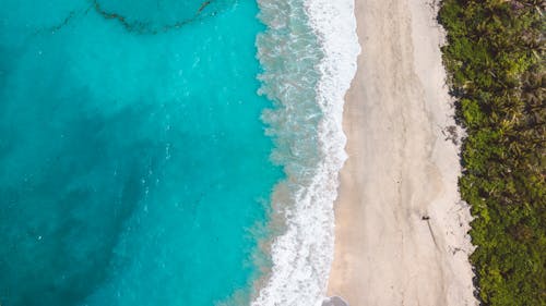 Kostenloses Stock Foto zu aufsicht, bäume, blaues meer