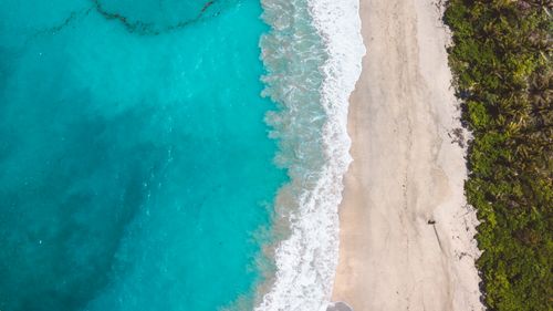 Free Stunning aerial beach view with turquoise waters and lush palm trees. Stock Photo