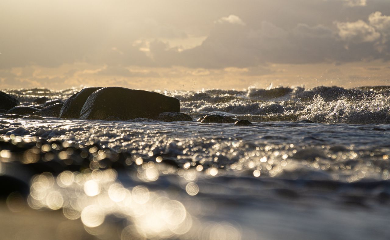 Researchers address pharmaceutical pollution in the Baltic Sea