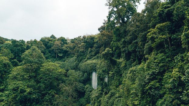 在热带雨林丰富的绿色植物中，瀑布的壮丽景色层层叠现