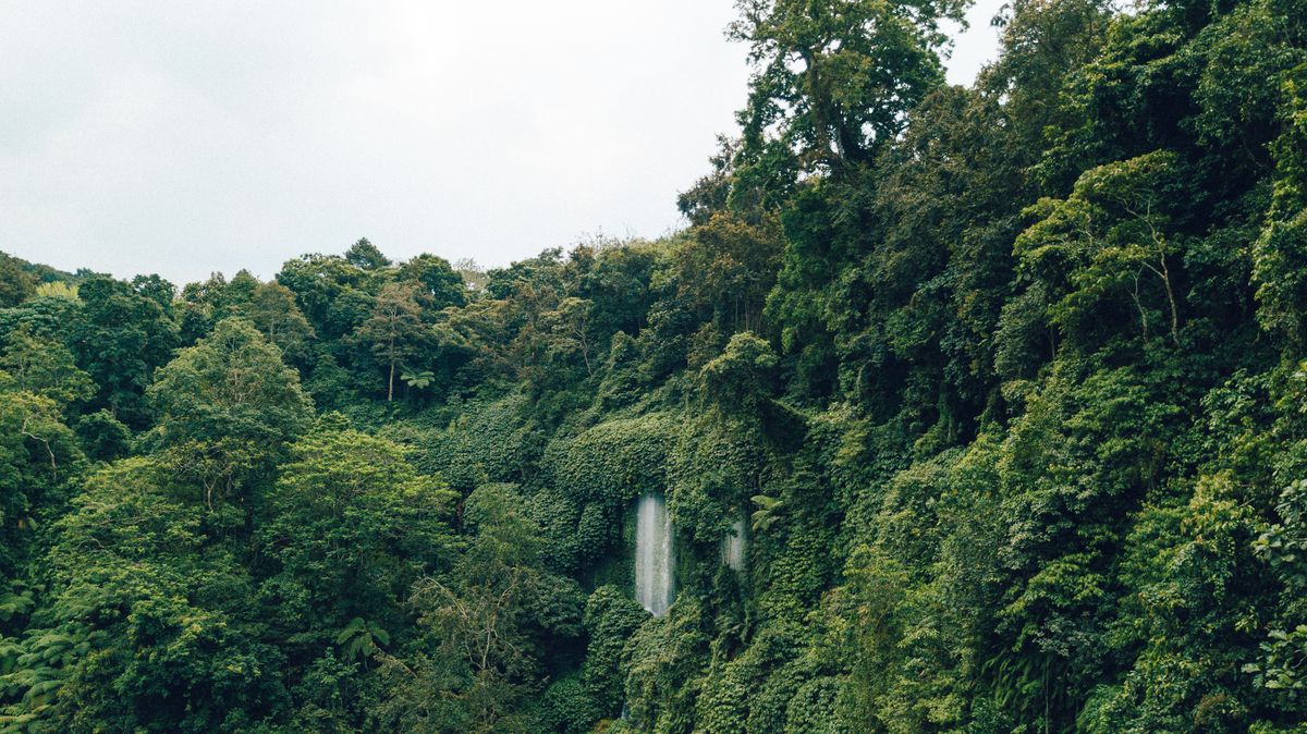 Cascada en la selva de Canaima