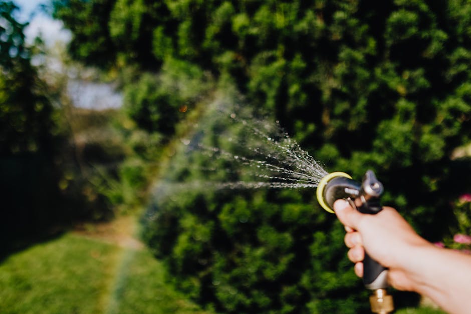 Comment choisir son tuyau d’arrosage pour arroser son jardin 