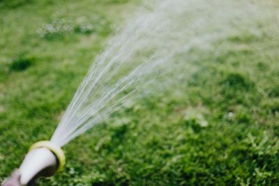 How to water a new hydroseeded lawn