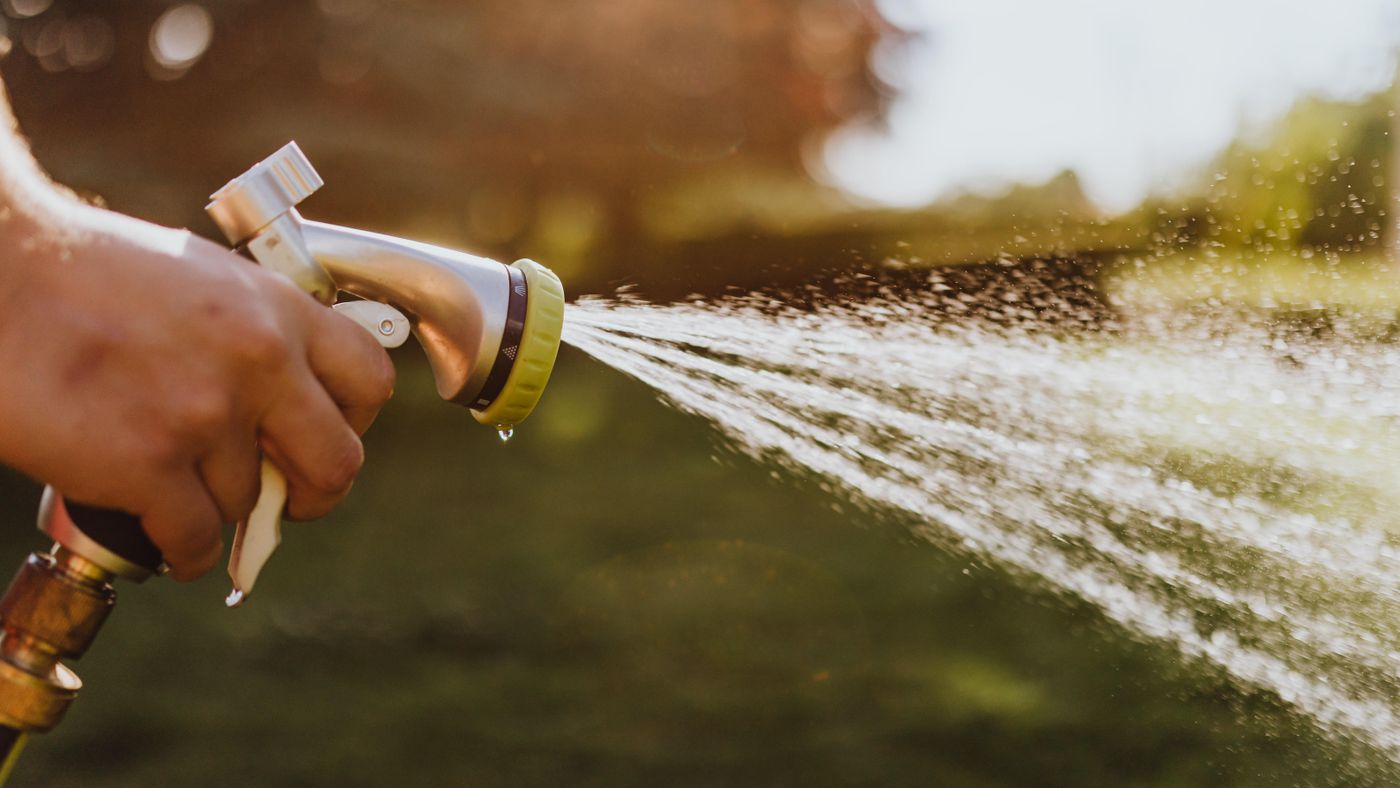 Drip irrigation for a small backyard: the setup that actually works under 200 dollars