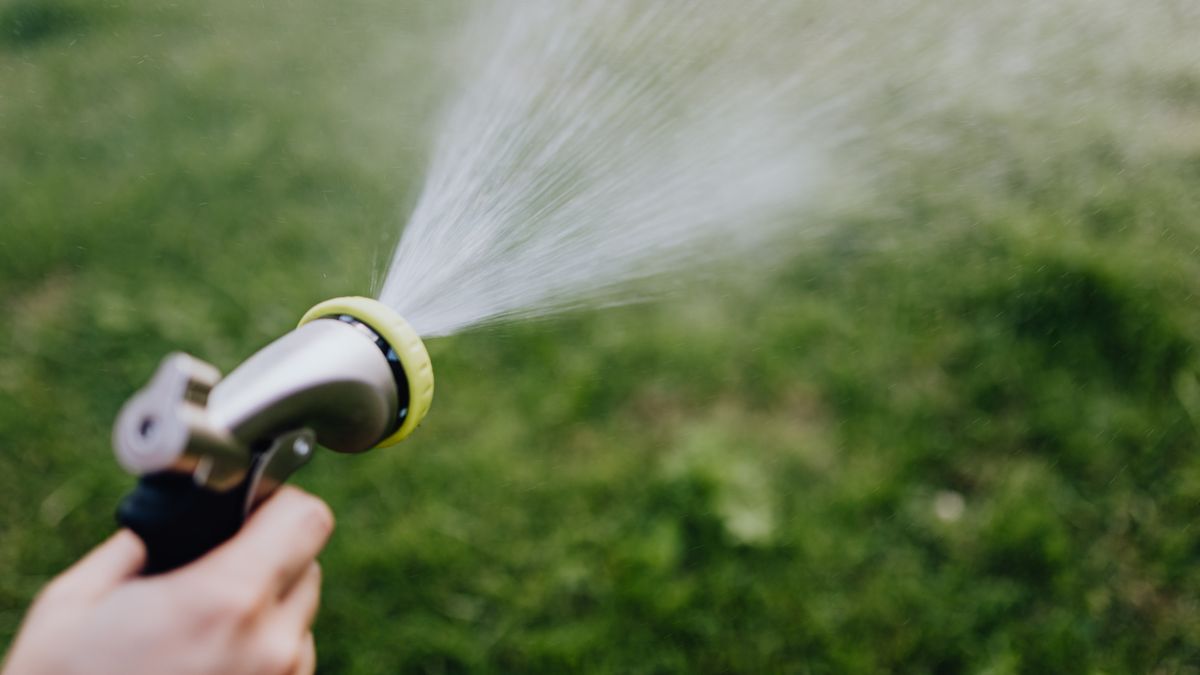 Comment préparer son jardin pour lété : 5 astuces incontournables