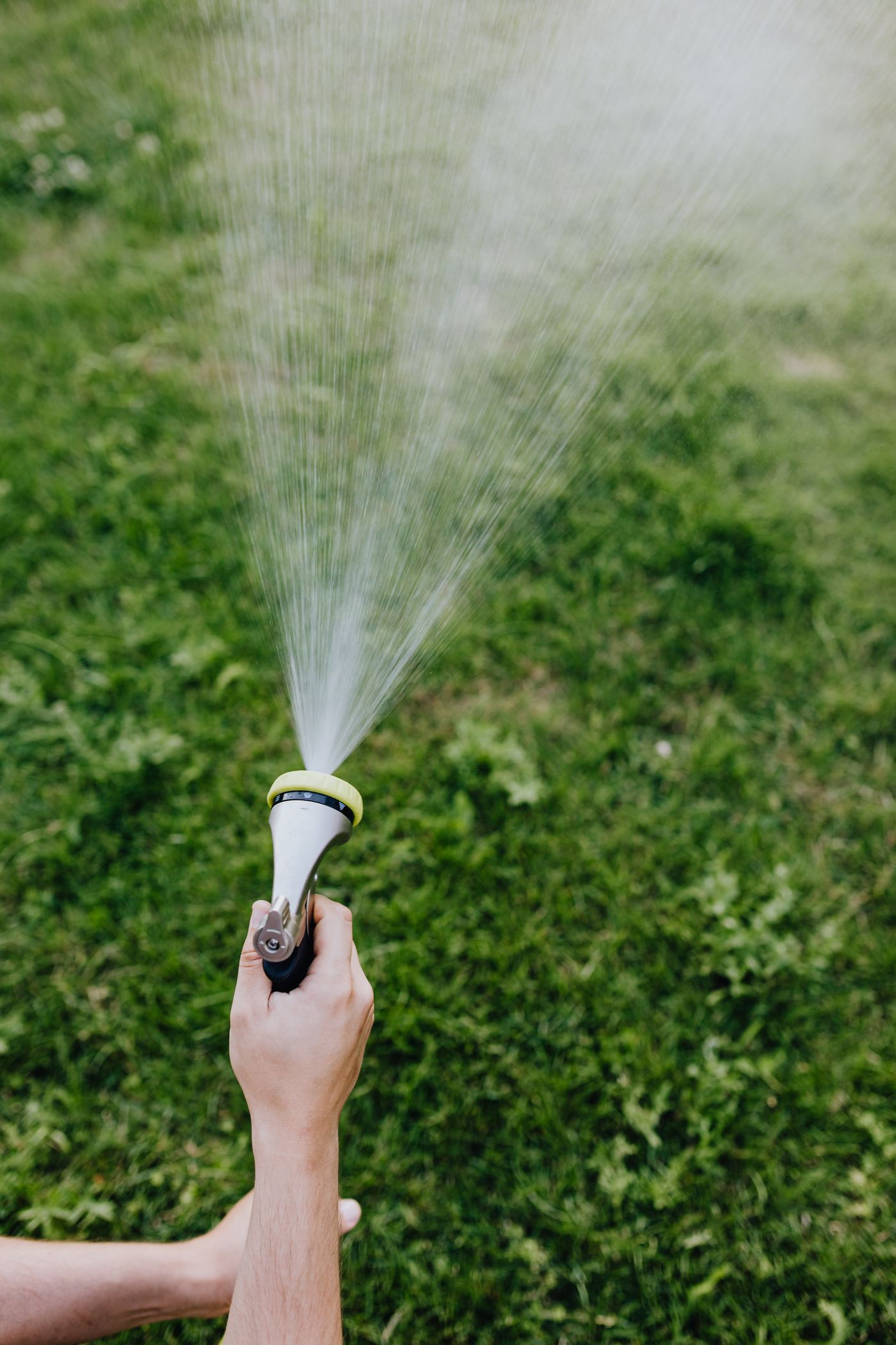 Gardener spraying water over a hedge with a hose